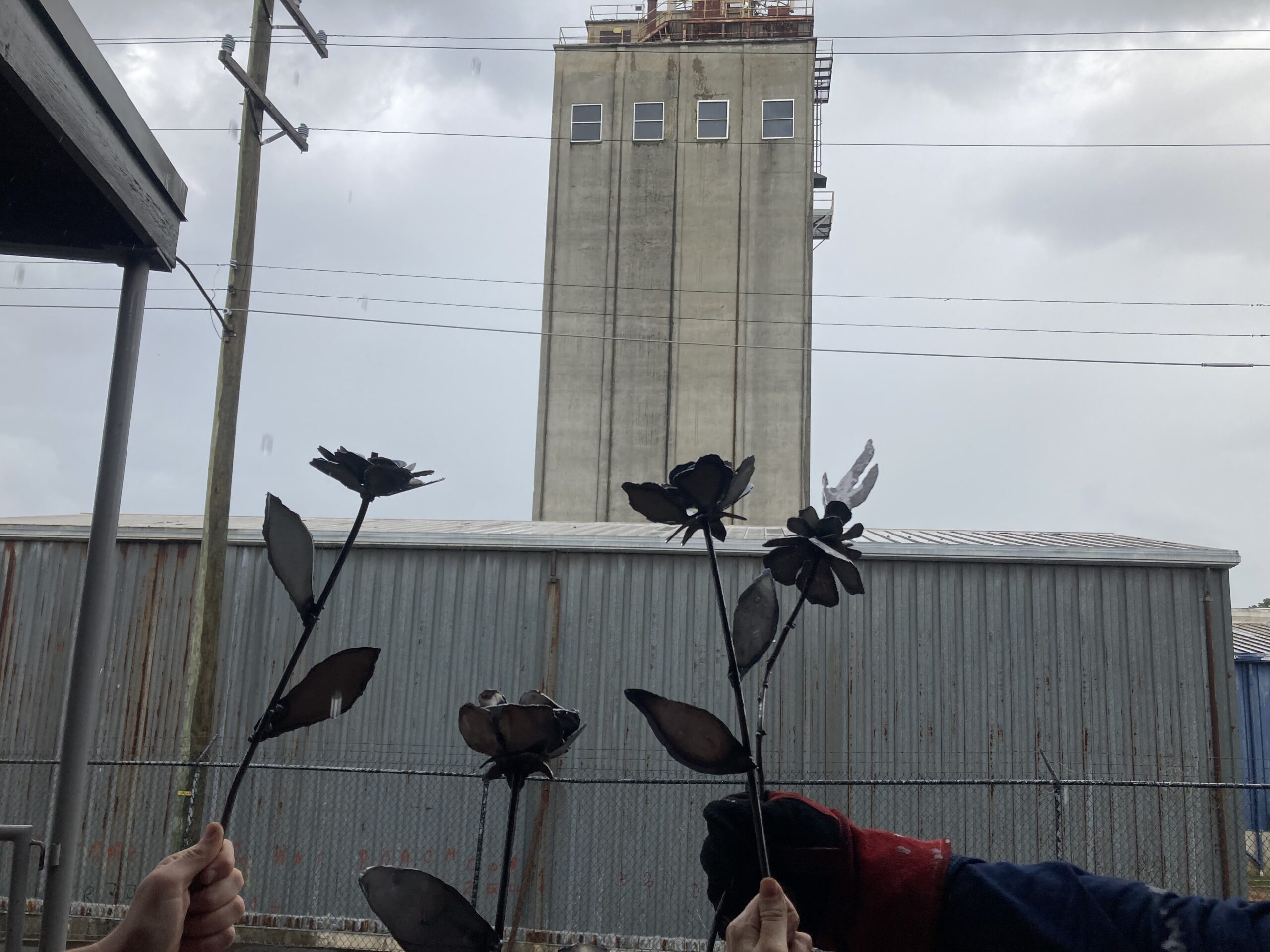 Metal to Petals - Image 2
